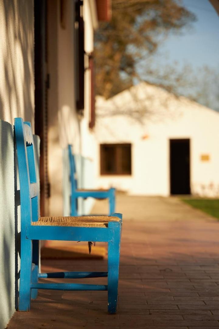 산티아고도카쎔 Quinta Do Marmeleiro - Casa Marmeleiro 빌라 외부 사진