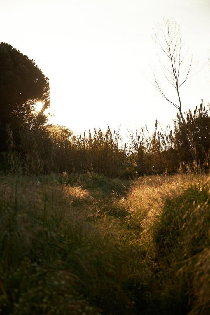 산티아고도카쎔 Quinta Do Marmeleiro - Casa Marmeleiro 빌라 외부 사진